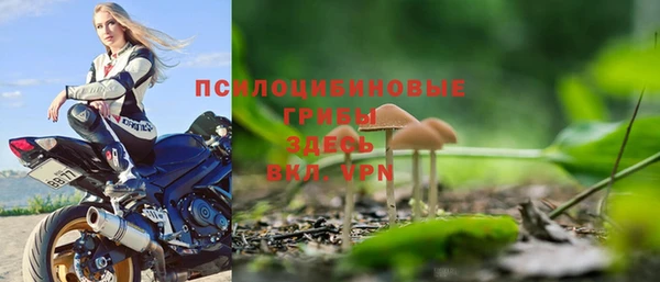 эйфоретик Богородицк