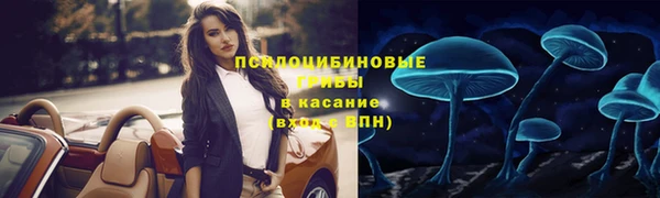 синтетический гашиш Богородск