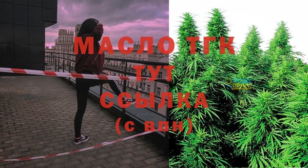 эйфоретик Богородицк