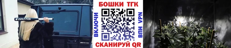 продажа наркотиков  Кирсанов  mega онион  Канабис SATIVA & INDICA 
